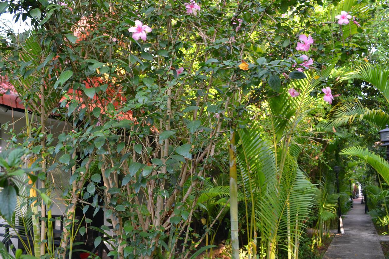Nature Boutique Residence Siem Reap Luaran gambar