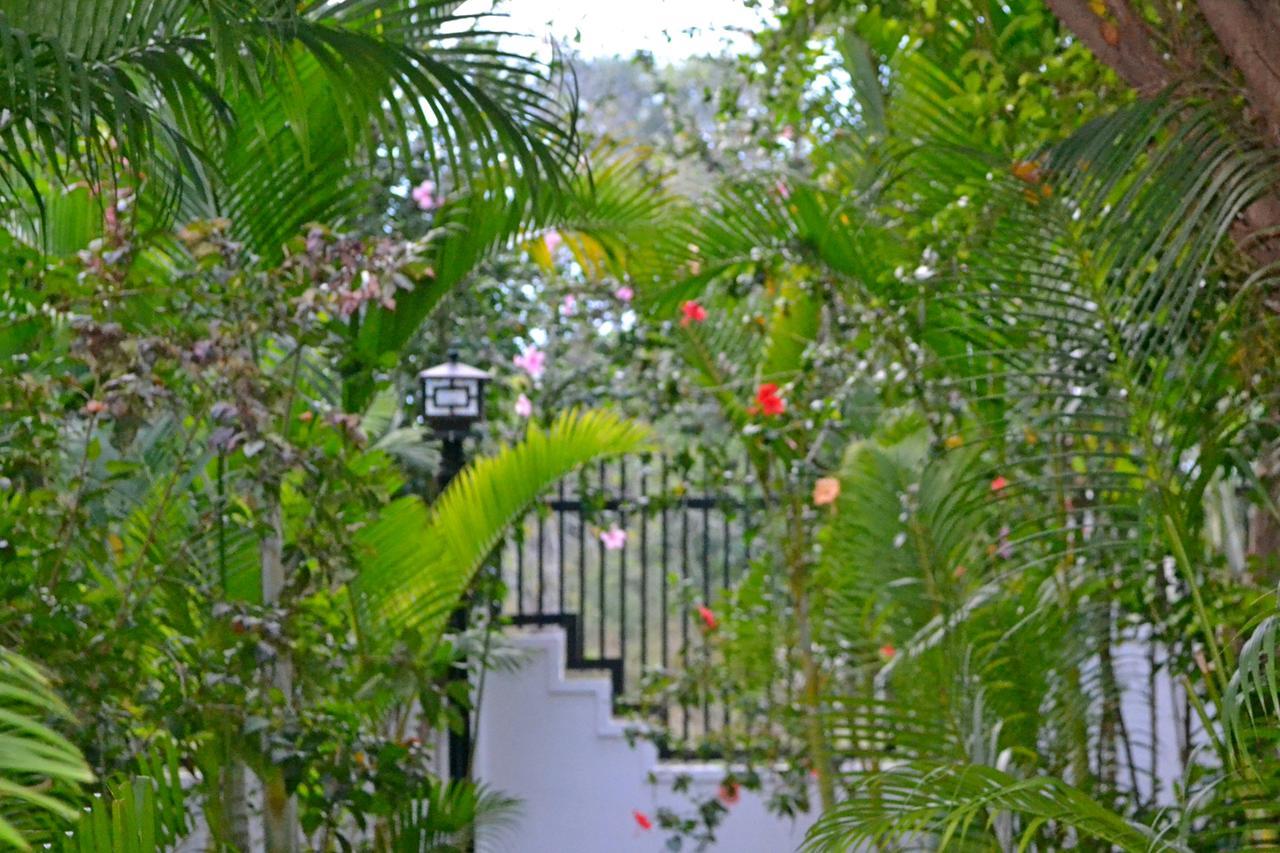 Nature Boutique Residence Siem Reap Luaran gambar